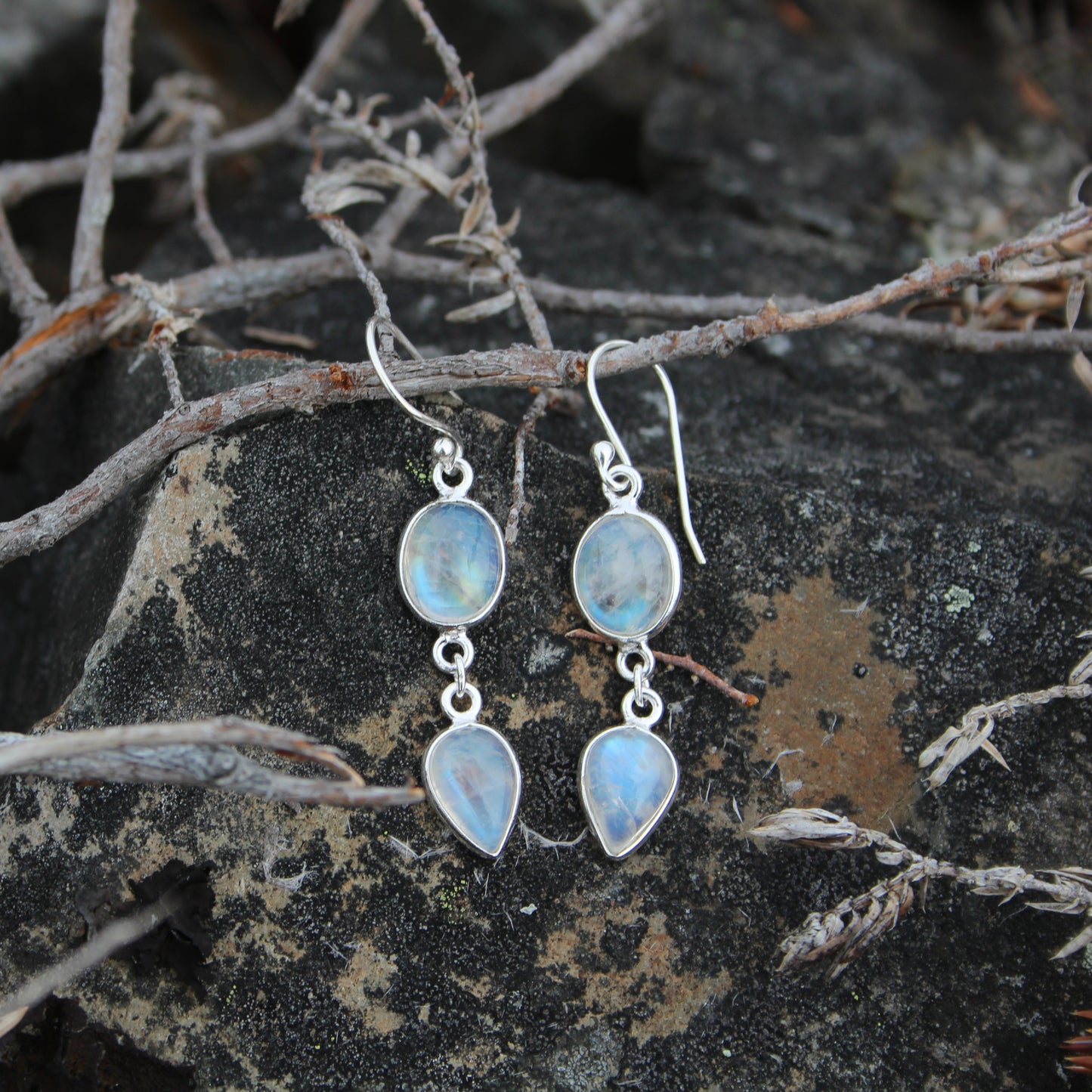 Cape Pine Moonstone Earrings