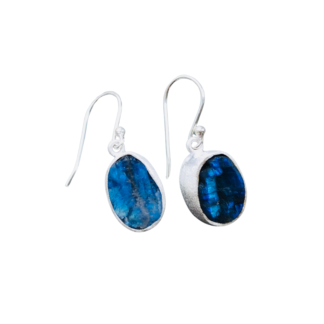 Birchy Bay Raw Labradorite Earrings